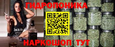 спайс Ачхой-Мартан