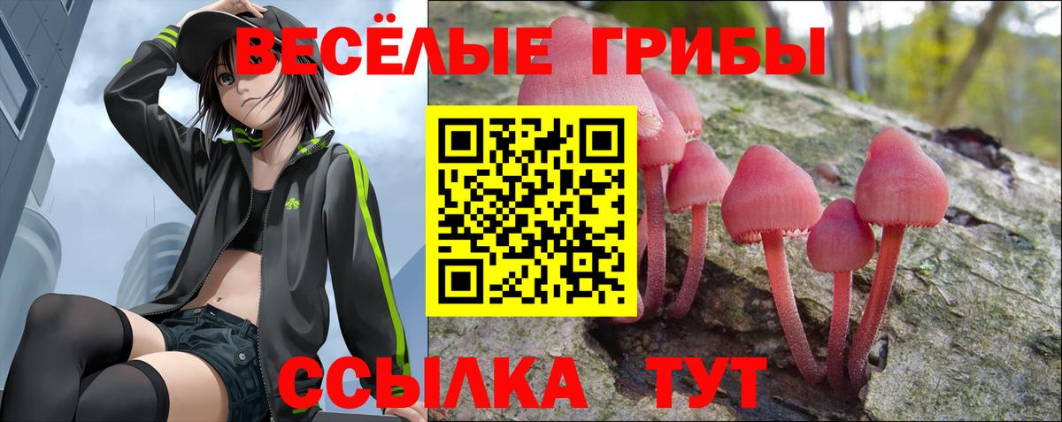Псилоцибиновые грибы Psilocybe  Вход с VPN  Бор  Псилоцибиновые грибы мухоморы 